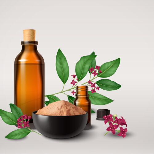 Sandalwood realistic colored composition consisting of bottle with oil bowl